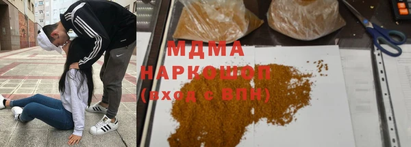 индика Белокуриха