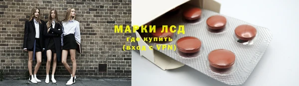 индика Белокуриха