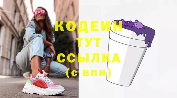 индика Белокуриха