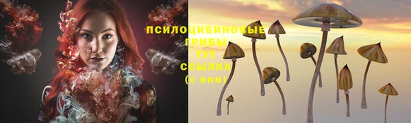 индика Белокуриха