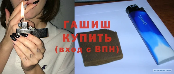 индика Белокуриха