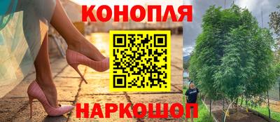 jwh Сочи