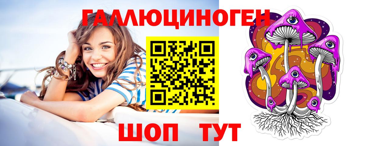 Псилоцибиновые грибы MAGIC MUSHROOMS  Вход с VPN  где купить наркотик  Верхняя Пышма  Галлюциногенные грибы GOLDEN TEACHER 