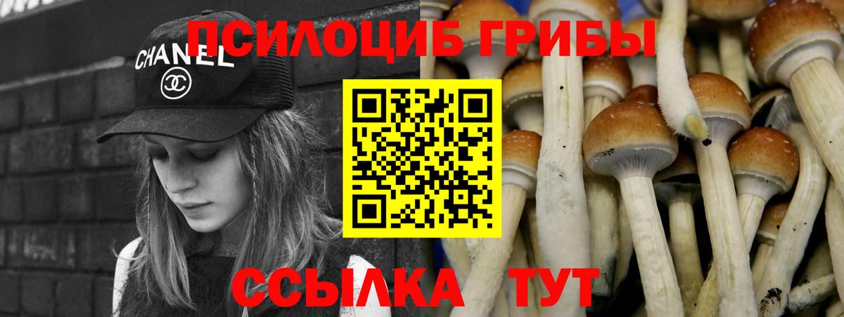 Галлюциногенные грибы ЛСД Верхняя Пышма